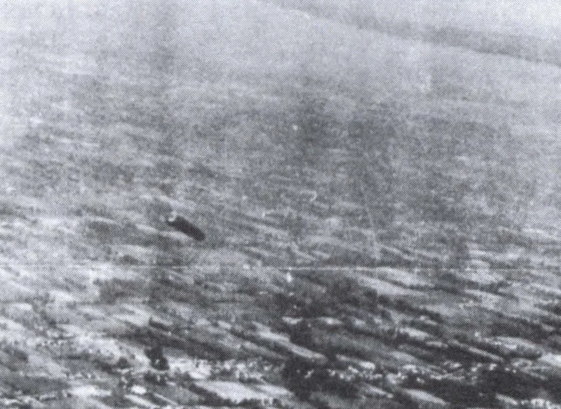 Další ze série snímků, zachycující tmavý objekt nad krajinou. Většina z pořízených 82 fotografií nebyla nikdy zveřejněna.